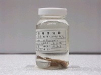 藏品(圓眼燕魚)的圖片